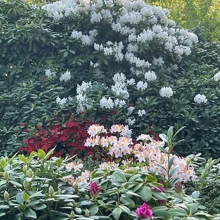 In Der Kastanienvilla Apartamento