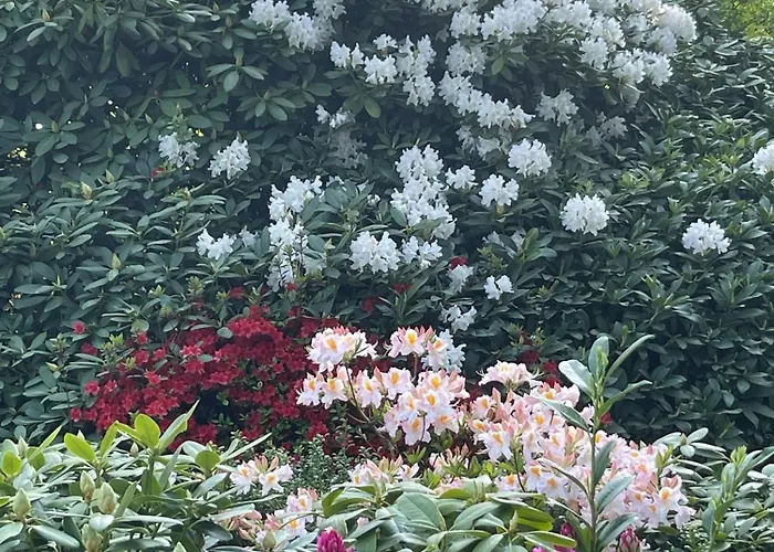 In Der Kastanienvilla Apartment